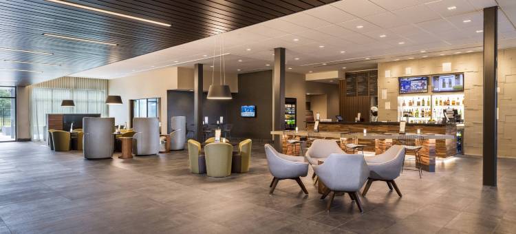 坦帕西北-老兵高速公路万怡酒店(Courtyard Tampa Northwest/Veterans Expressway)图片
