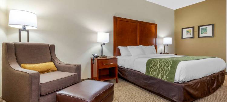 勒努瓦高速公路321号北山麓舒适套房酒店(Comfort Inn & Suites Lenoir Hwy 321 Northern Foothills)图片