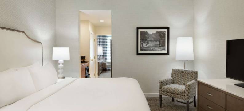 费城福奇谷希尔顿大使套房酒店(Embassy Suites by Hilton Philadelphia Valley Forge)图片