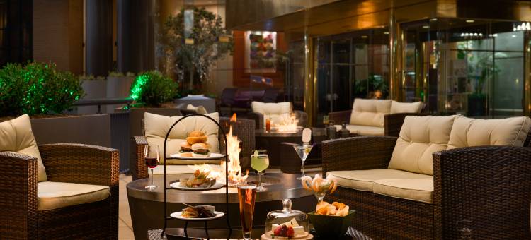 华盛顿杜勒斯国际机场希尔顿酒店(Hilton Washington Dulles Airport)图片