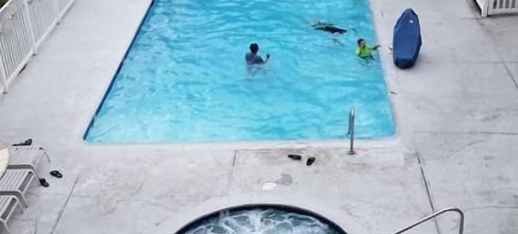 阿纳海姆普安那公园温德姆戴斯酒店(Days Inn by Wyndham Buena Park Anaheim)图片