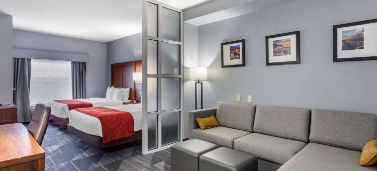 奥利夫布兰奇西舒适套房酒店(Comfort Suites Olive Branch - Memphis South)图片