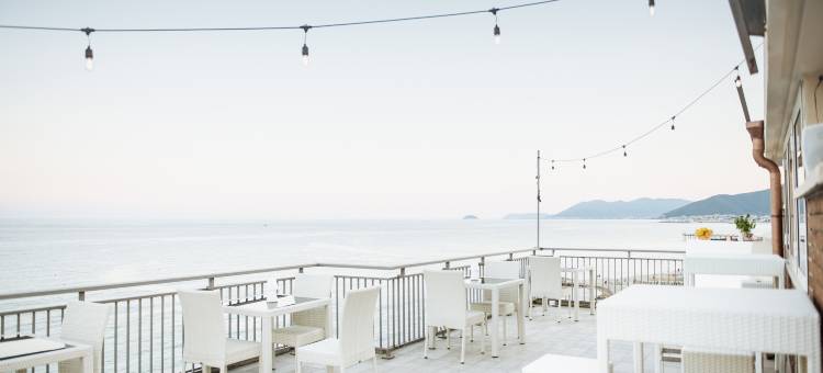 乔利罗杰酒店(Hotel Jolly Roger)图片