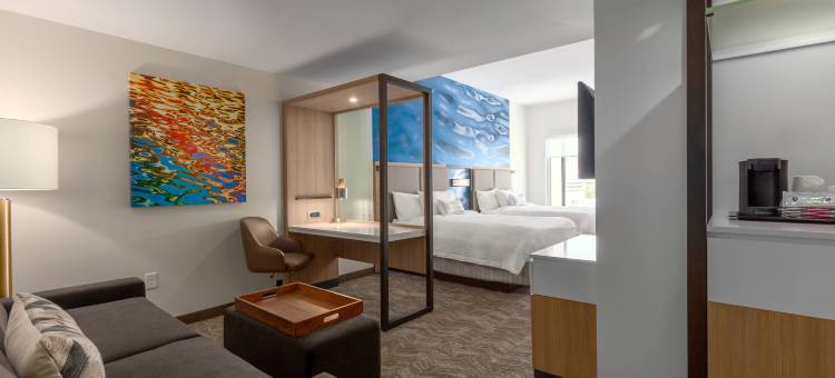 SpringHill Suites Bradenton Downtown/Riverfront图片