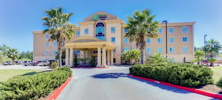 智选假日套房酒店亨茨维尔(Holiday Inn Express & Suites HUNTSVILLE by IHG)图片