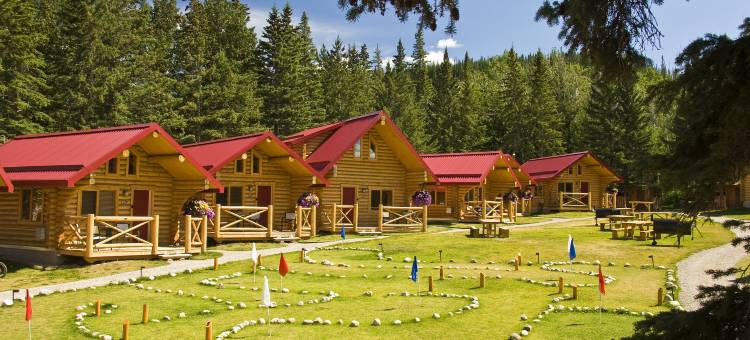 Miette Mountain Cabins图片