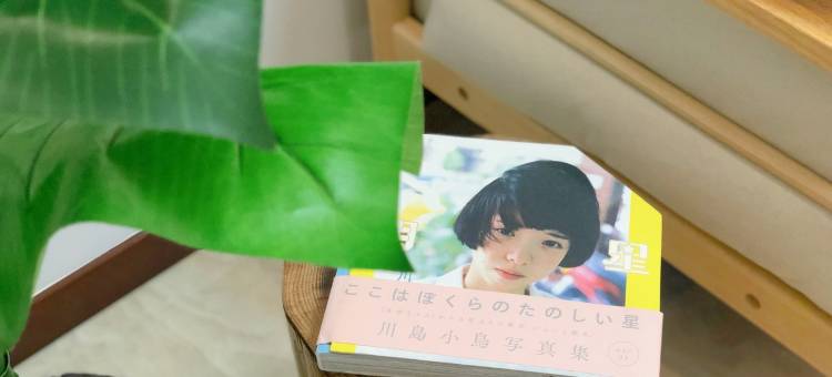 六甲苑公寓(太湖龙之梦店)图片