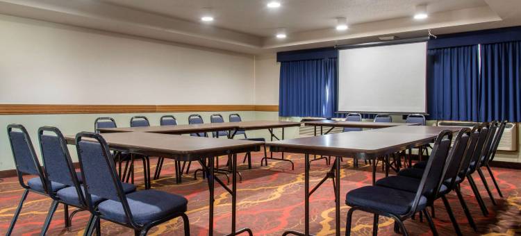 凯艺套房酒店(Quality Inn & Suites)图片