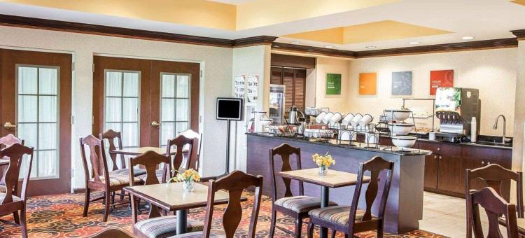 舒适酒店及套房斯帕坦堡北(Comfort Inn & Suites at I-85)图片