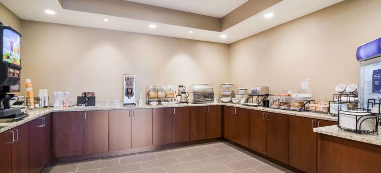 舒适套房酒店(Comfort Inn & Suites)图片