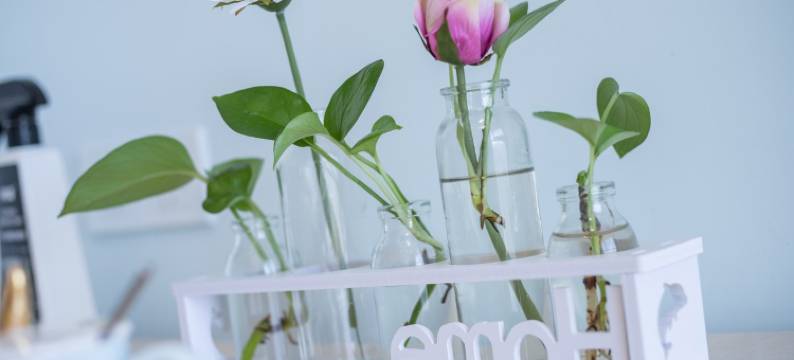 小小茼民宿(站前大道分店)图片