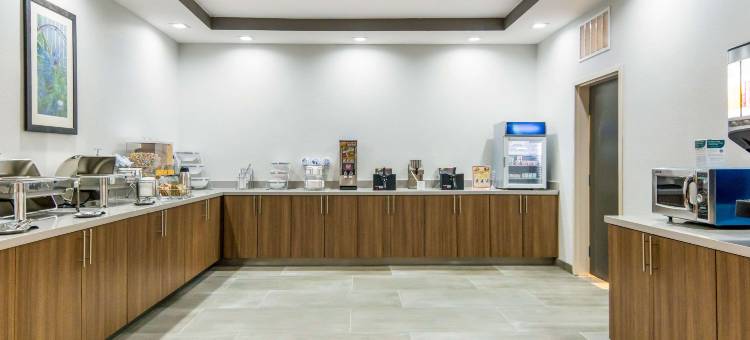 迪索托-达拉斯南舒适套房酒店(Comfort Suites DeSoto Dallas South)图片