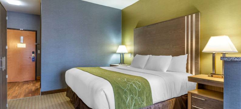 底特律绍斯盖特舒适套房(Comfort Suites Southgate-Detroit)图片