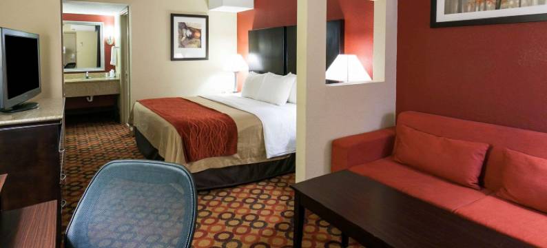 史特斯维尔-穆尔斯维尔舒适套房酒店(Comfort Inn & Suites Statesville - Mooresville)图片