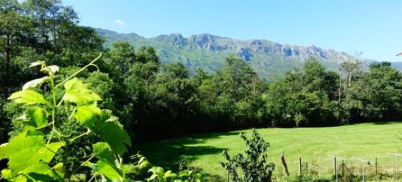 普劳刘餐厅酒店(Prau Riu Hotel Hyundai-Asturdai)图片