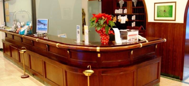 卡尔利马尼温泉 SPA 酒店(Hotel Spa Termes Carlemany)图片