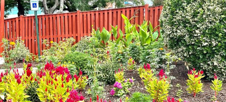 红地毯酒店-马里兰大学附近(Red Carpet Inn by University of MD)图片