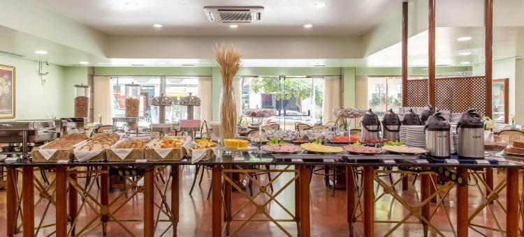圣保罗普拉纳尔托丹酒店(Dan Inn Planalto São Paulo)图片
