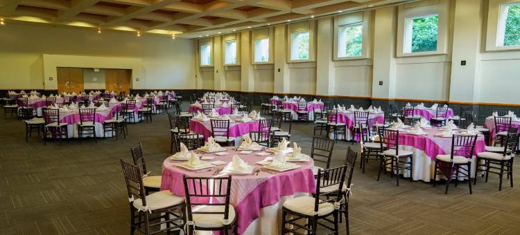 加玛费斯塔阿美利卡萨拉帕旅馆(Gamma by Fiesta Americ Xalapa Nubara)图片