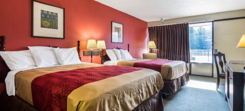 伊克诺套房旅馆-会议中心(Econo Lodge Inn & Suites Conference Center Dublin)图片