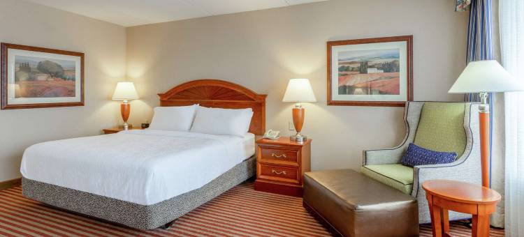 南里士满南方公园希尔顿花园酒店(Hilton Garden Inn Richmond South/Southpark)图片