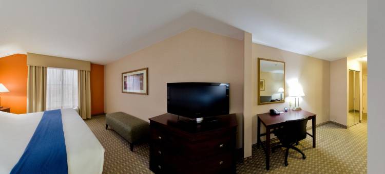 智选假日套房酒店麦克多诺 by IHG(Holiday Inn Express & Suites Mcdonough)图片