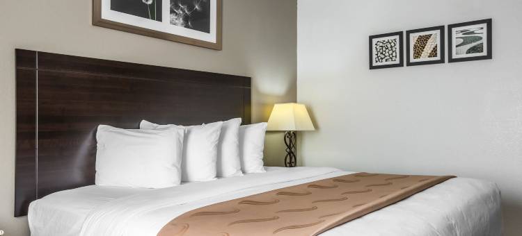 南亚特兰大斯托克布里奇品质酒店(Quality Inn Stockbridge Atlanta South)图片