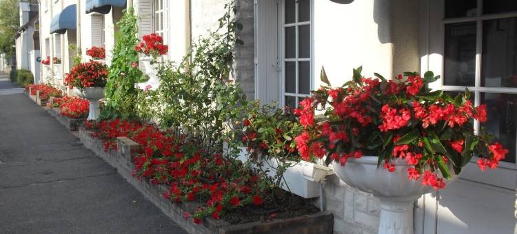 法国孔特尔-博瓦尔-舍韦尔尼酒店(Contact Hôtel de France Contres-Beauval-Cheverny)图片