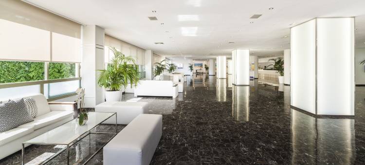 Globales Mimosa图片