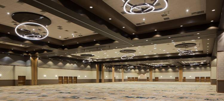 达拉斯弗赖拉辛希尔顿安泊水疗酒店&会议中心(Embassy Suites by Hilton Dallas Frisco Hotel & Convention Center)图片