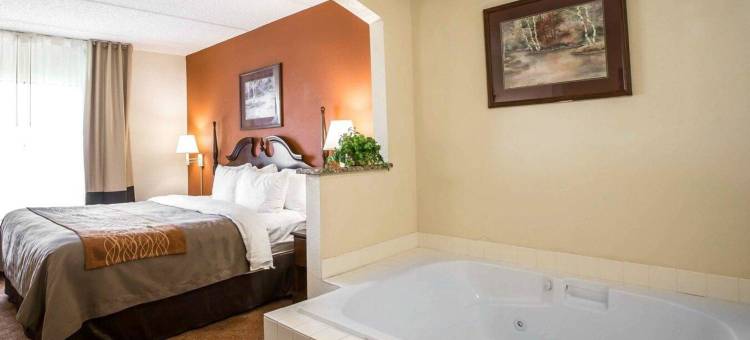 舒适酒店及套房斯帕坦堡北(Comfort Inn & Suites at I-85)图片