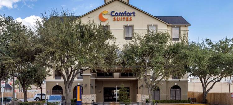 舒适套房酒店-近德克萨斯医学中心NRG体育场(Comfort Suites Near Texas Medical Center - NRG Stadium)图片