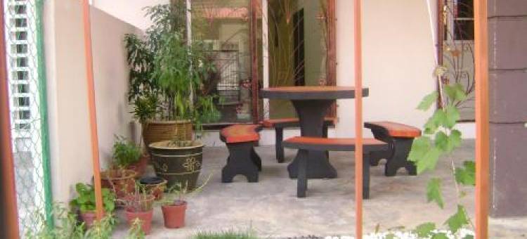 阿梅斯阿拉民宿(Homestay Amsyarah)图片