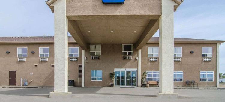 舒适酒店(Comfort Inn)图片