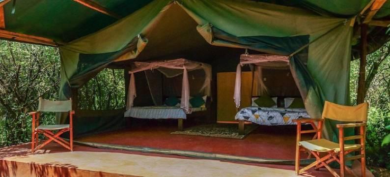 塔莱克·奥尔金耶露营酒店(Talek Olkinyei Camp)图片