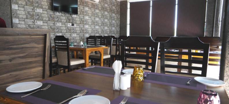 瑞诗凯诗帕纳米比度假村(Panambi Resort Rishikesh)图片