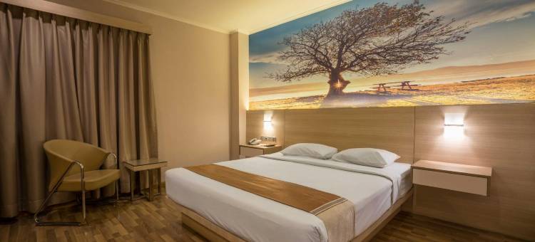 高级酒店(Star Hotel)图片