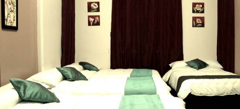 开罗国际青年旅舍(Cairo International Hostel)图片