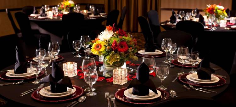 拉伯克希尔顿安泊套房酒店(Embassy Suites by Hilton Lubbock)图片