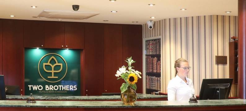 诺德韦克海滩的两兄弟(Two Brothers Noordwijk Beach)图片