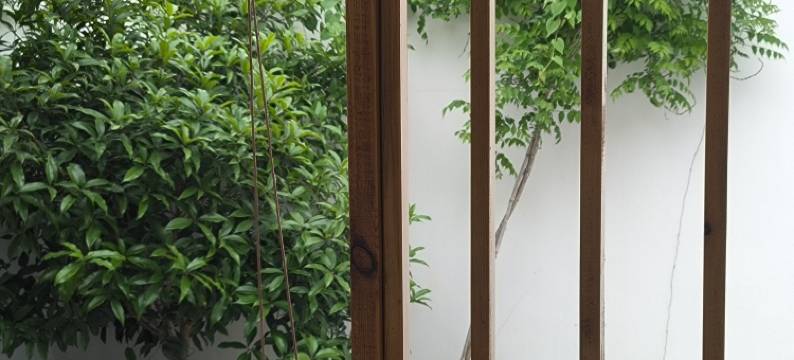 轩驿可乐特色民宿(大流芳巷1号分店)图片