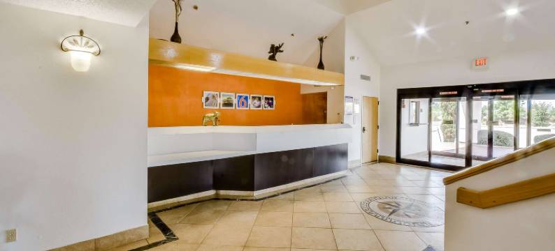 凯蒂6号汽车旅馆(Motel 6 Katy, TX - Houston)图片