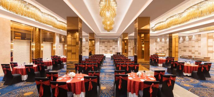 齐普尔市中心丽筠酒店(Radisson Jaipur City Center)图片