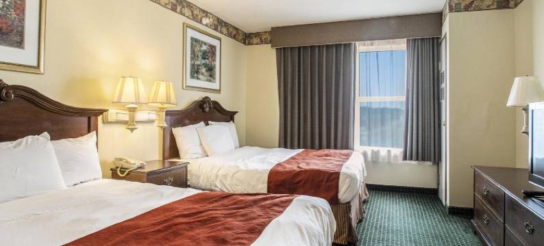 丽怡酒店(Country Inn & Suites by Radisson, Elkhart North, IN)图片