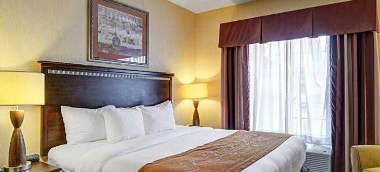 舒适套房酒店(Comfort Suites- Near University)图片
