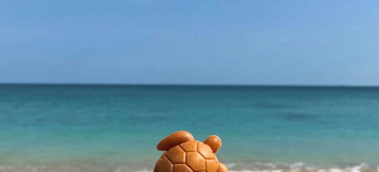 澎湖苹果香味图片