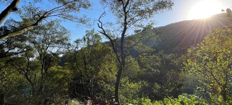 龙湖无拘精品公寓酒店民宿(北花园路1号分店)图片