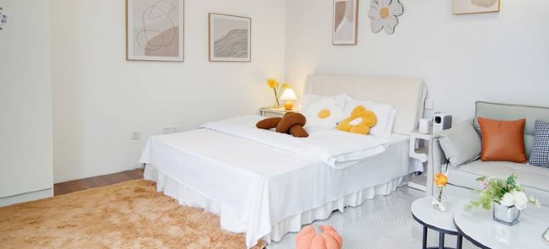 向往诗和远方的小姐姐公寓(荟城路分店)图片