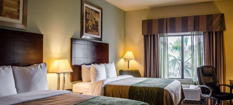 舒适套房酒店(Comfort Inn & Suites)图片