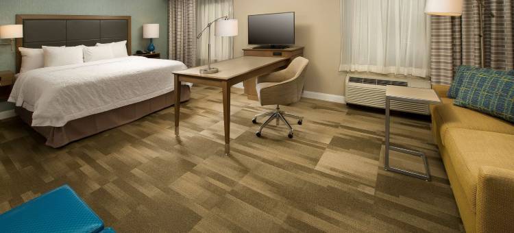 锡拉丘兹/凯瑞尔环路欢朋酒店(Hampton Inn & Suites Syracuse/Carrier Circle)图片